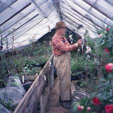 Theodore Klein Plant Award Winners