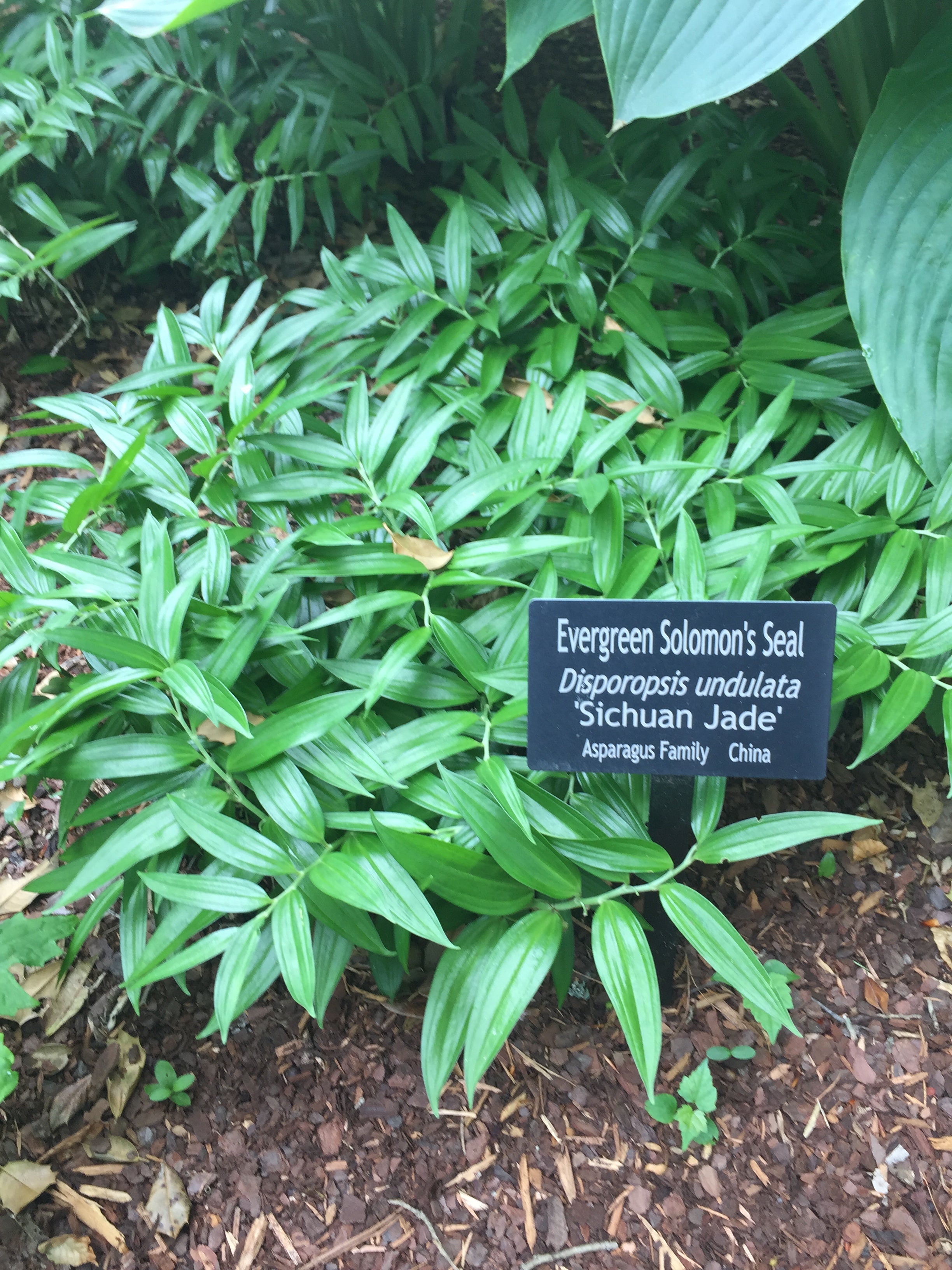 Yew Dell Botanical Gardens